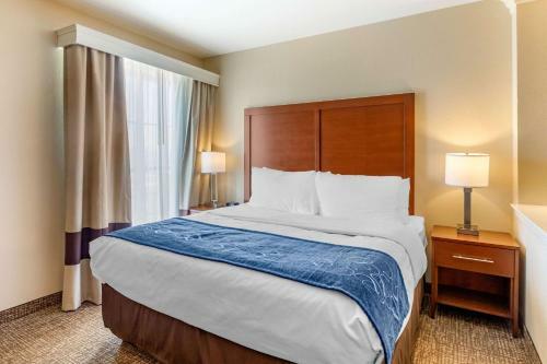 Hotel Comfort Suites Near Denver Downtown