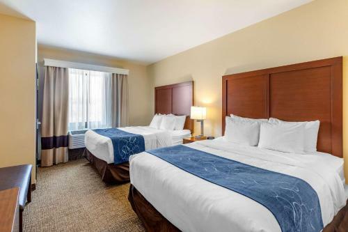 Hotel Comfort Suites Near Denver Downtown