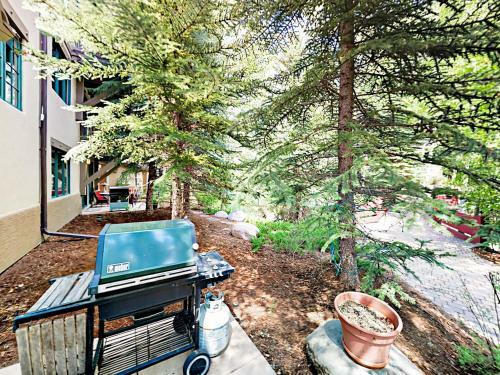 663 Sawatch Drive Townhouse Unit 1