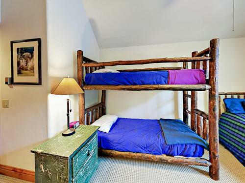 663 Sawatch Drive Townhouse Unit 1