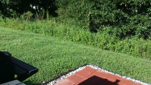 Englewood Cozy Comfy Home A