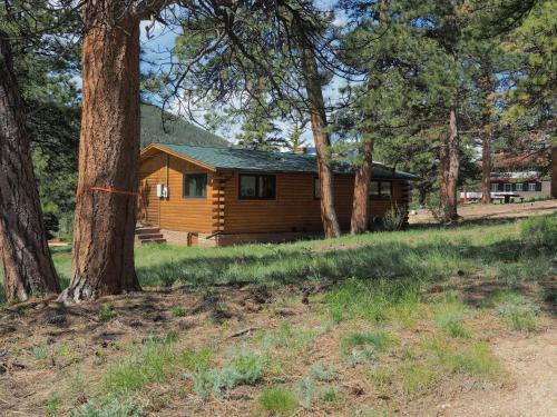 Coyote Cabin