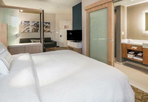 Hotel Springhill Suites By Marriott Fishkill