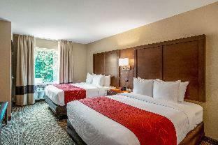 Hotel Comfort Suites