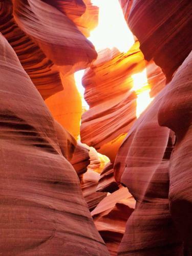 Location! Nature Lovers Getaway - Close To Historic Downtown