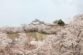 Hotel Kifunosato