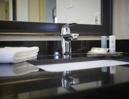 Hotel Comfort Inn South