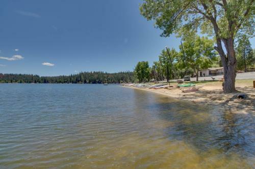 Serenity In The Trees (02-169)