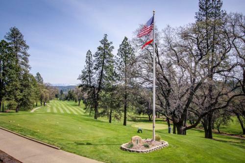 Serenity In The Trees (02-169)