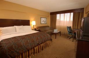 Hotel Doubletree North Druid Hills Emory Area
