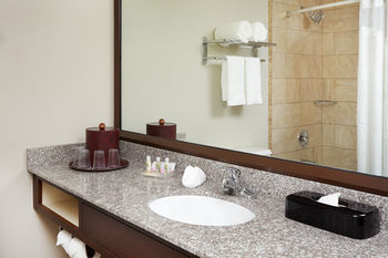 Hotel Holiday Inn Matteson Conference Center