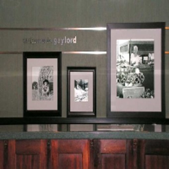 Hotel Hampton Inn Gaylord