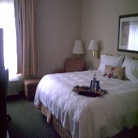 Hotel Hampton Inn Battle Creek