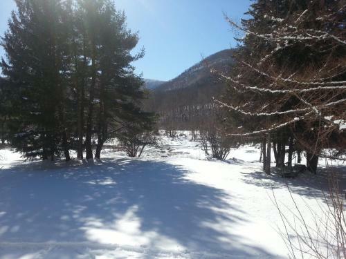 Hotel Hunter Mountain Resort