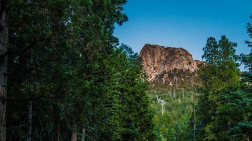 Lily Rock By New Spirit