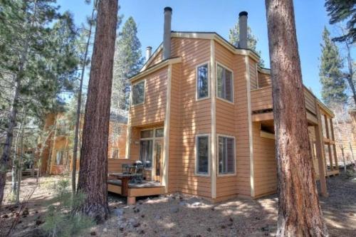 Mccloud 232