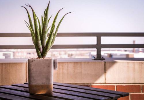Apartamento Mile Square 2br Apt Near Dining & Nightlife