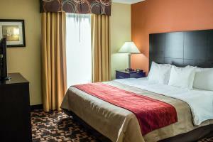 Hotel Comfort Inn University