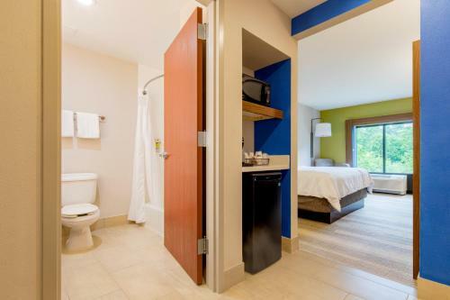 Hotel Holiday Inn Express Johnson City