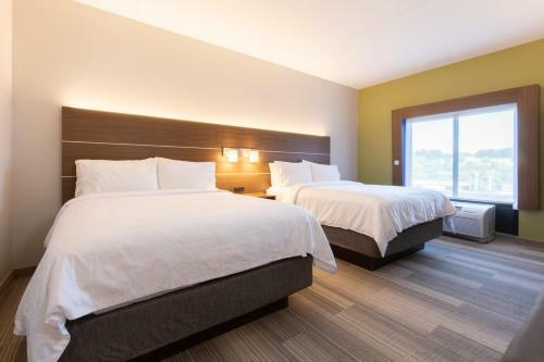 Hotel Holiday Inn Express Johnson City
