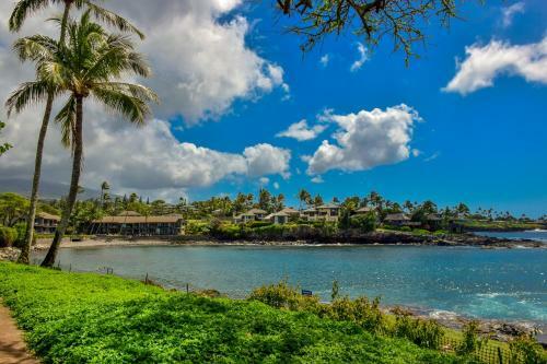 Apartamento Napili Point A8 Condo