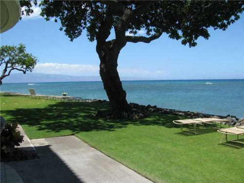 Apartamento Kahana Reef 118 Condo