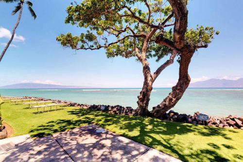 Apartamento Kahana Reef Oceanfront Condos