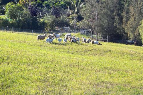Agroturismo Silver Oaks Ranch