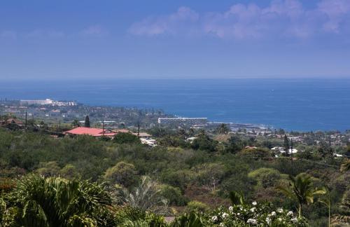 7 C's Kona (big Island)