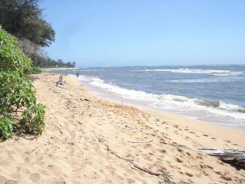 Apartamento Islander On The Beach Unit 244