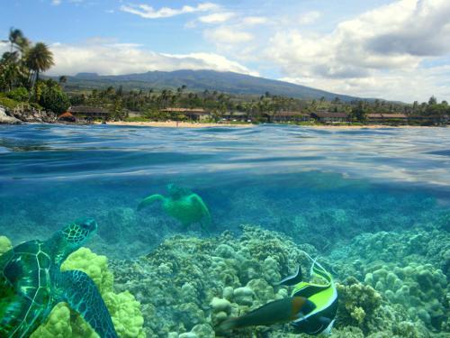Kapalua Bay Villa 11g1