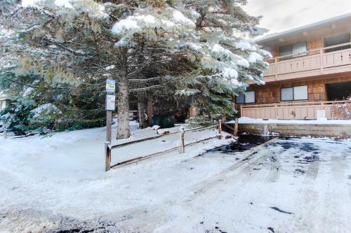 Limelight Base Camp Condo. Ski, Bike, & Adventure!