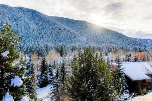 Limelight Base Camp Condo. Ski, Bike, & Adventure!