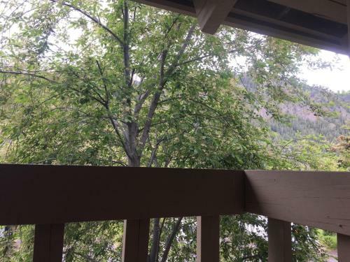 Sun Valley Condo 102