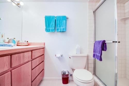 Skiway Condo