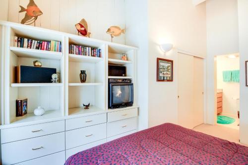 Skiway Condo