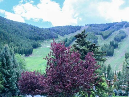 Greyhawk At The Ski Lifts -the Artisan
