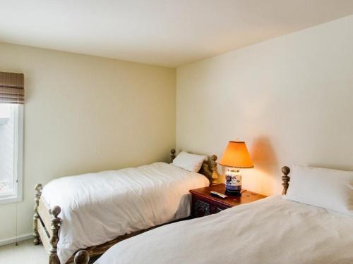 Greyhawk At The Ski Lifts -the Artisan