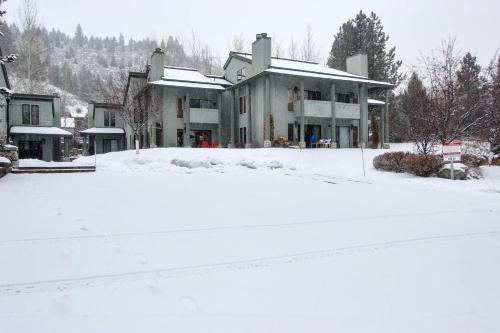 Greyhawk At The Ski Lifts -the Artisan