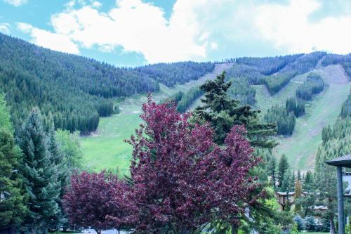 Greyhawk At The Ski Lifts -the Artisan