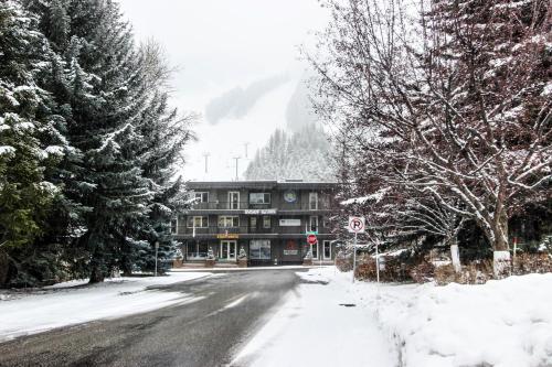 Greyhawk At The Ski Lifts -the Artisan