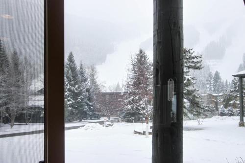 Greyhawk At The Ski Lifts -the Artisan