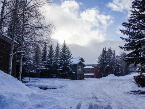 Bridgepoint Condo On Trail Creek