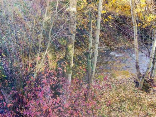 Bridgepoint Condo On Trail Creek