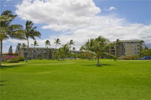 Apartamento Kauhale Makai 331 Condo