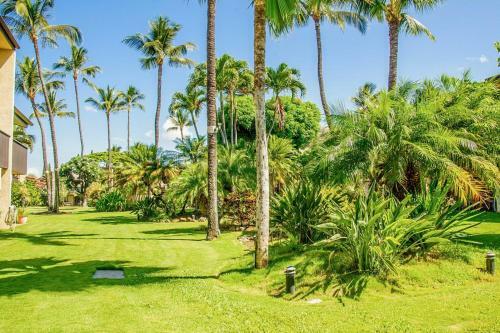 Apartamento Kihei Garden Estates C209