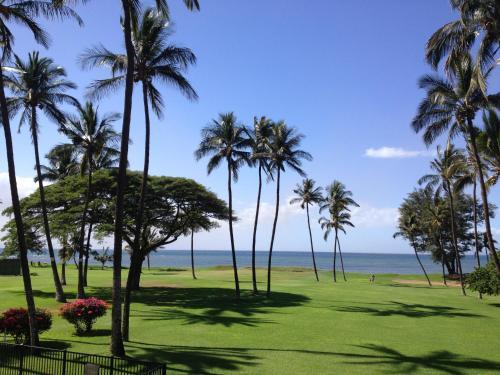 Apartamento Central Kihei Remodeled Beachfront Condo