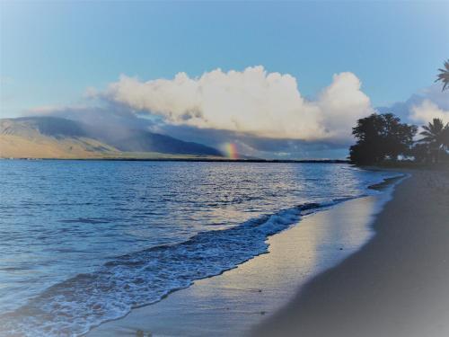 Apartamento Central Kihei Remodeled Beachfront Condo