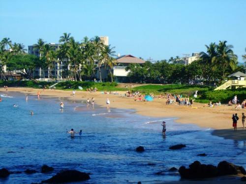 Apartamento Maui Vista #2-418 Condo