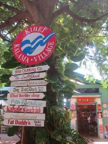 Island Surf 402